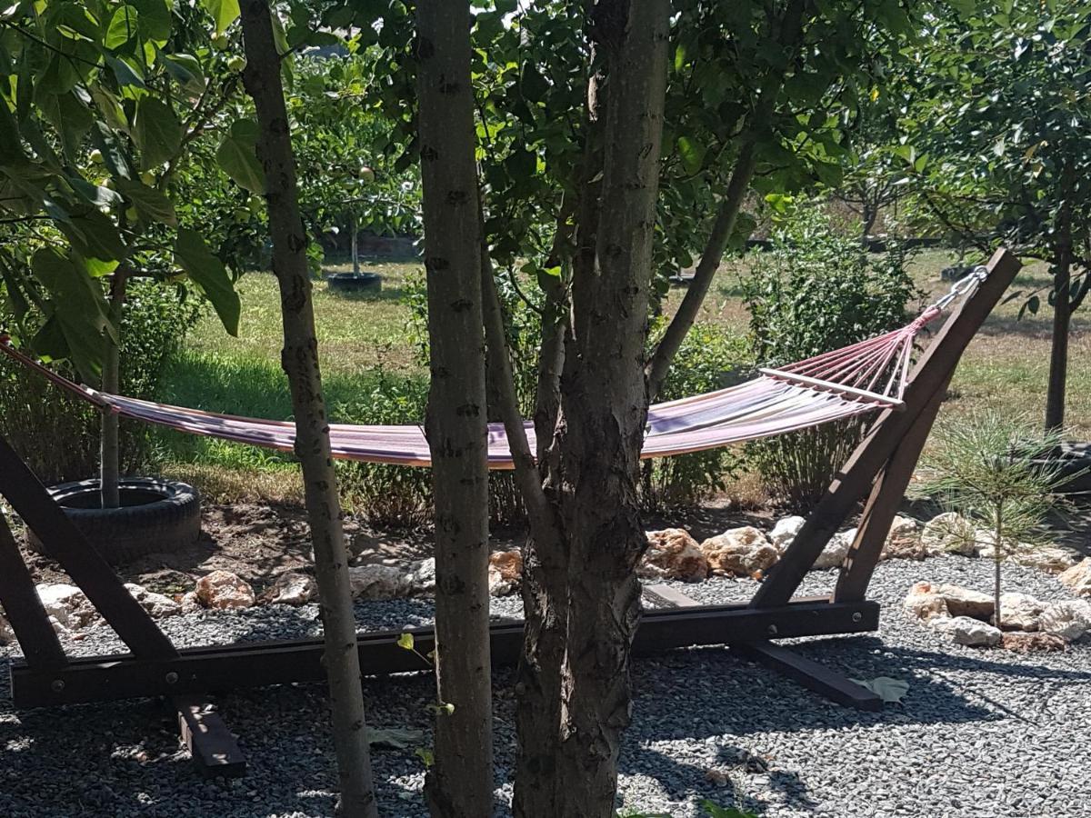 Casa Magnolia Otel Douăzeci şi Trei August Dış mekan fotoğraf